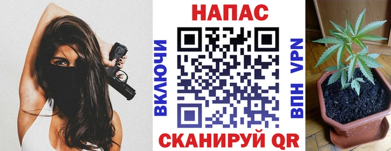 Канабис планчик  где продают   OMG как зайти  Островной 