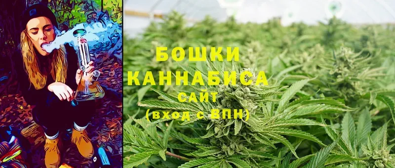 Шишки марихуана OG Kush  Островной 